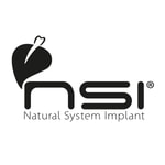 NSI Logo NSI
